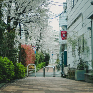 イヨシコーラ総本店下落合の特別営業日のお知らせ（3.28-3.29）